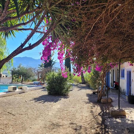 Cortijo Las Gallardas En Almeria Los Gallardos Exteriör bild