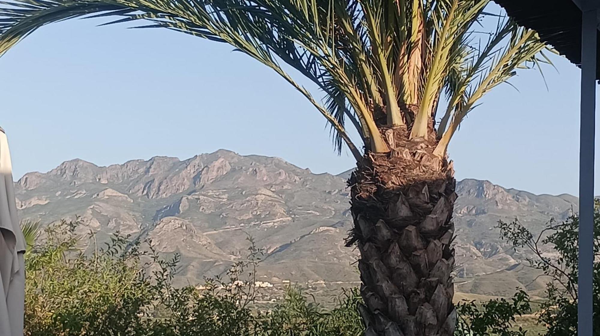 Cortijo Las Gallardas En Almeria Los Gallardos Exteriör bild