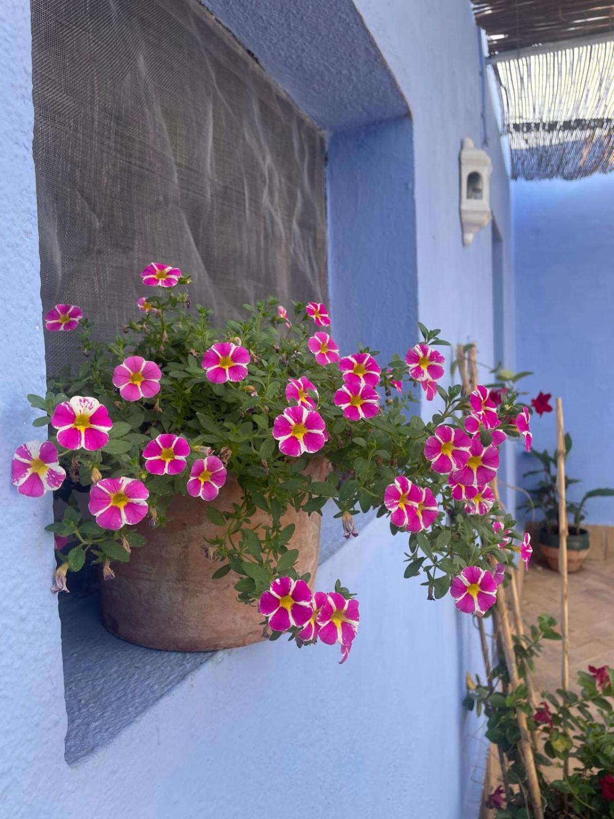 Cortijo Las Gallardas En Almeria Los Gallardos Exteriör bild